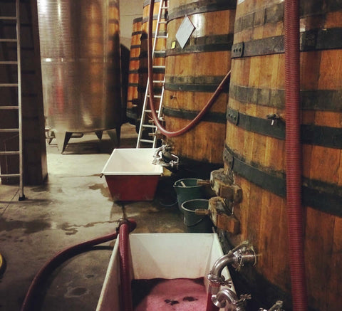 The Borgogno cellar which uses huge wooden barrels for fermentation. 
