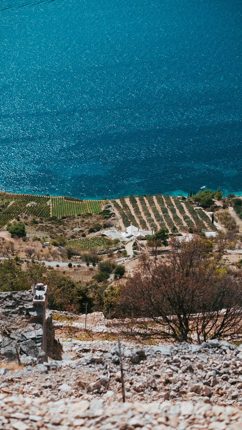 Dalmatia