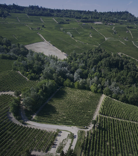 The Dolcetto d'alba region full of vineyards on hills and sits right next to Barolo. 