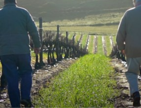 Peter and Nick Pentz, family winemakers, are committed to producing exceptional wines that showcase Darling Hills' unique terroir