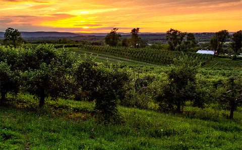 Hudson River Region
