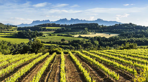 Penedes