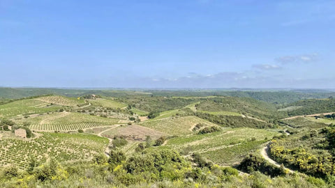 Languedoc-Roussillon