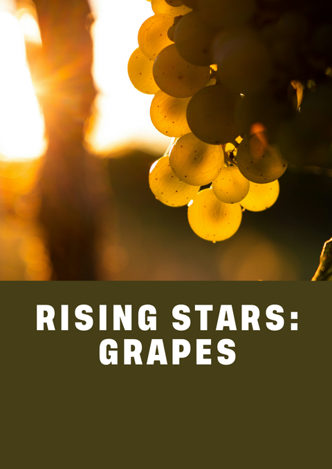 Curated box: Rising Stars: The Grapes