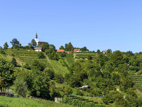 Bizeljsko-Sremič